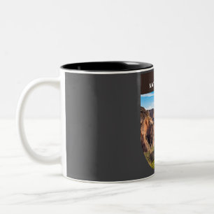 Zion National Park - Angels Landing Two-Tone Coffee Mug