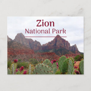 Zion National Park Bloom Postcard