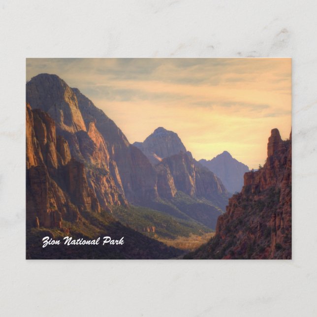 Zion National Park Postcard (Front)