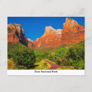 Zion National Park Postcard