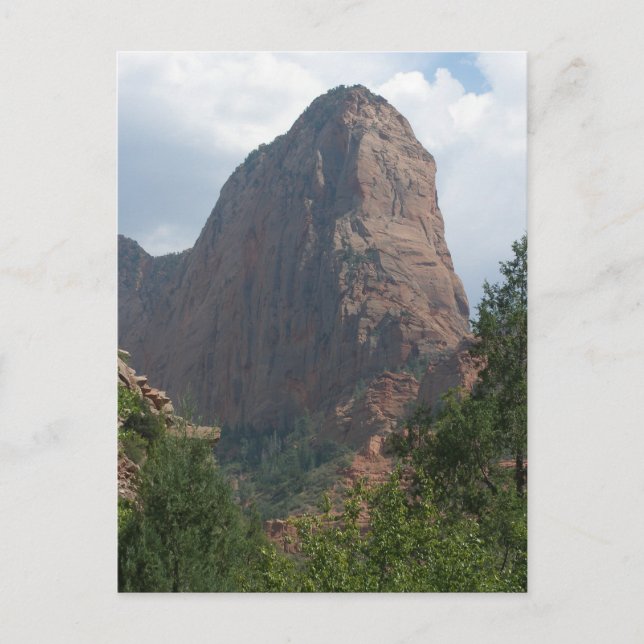 Zion National Park Postcard (Front)