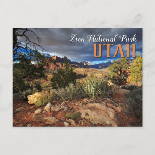 Zion National Park Postcard