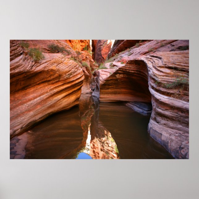 zion national park poster (Front)