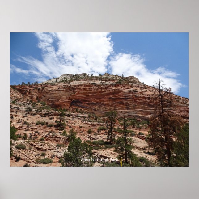 Zion National Park Poster (Front)