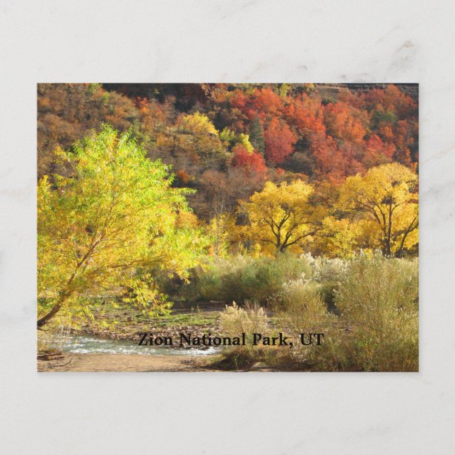 Zion National Park, Utah Autumn Colours Scenery Postcard (Front)