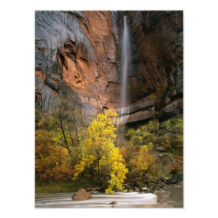 Zion National Park, Utah. USA. Ephemeral Photo Print