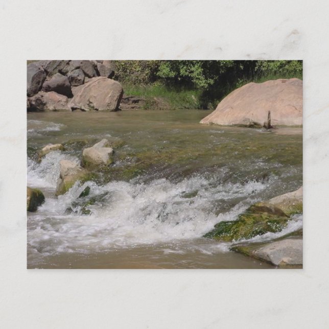 Zion Riverwalk trail Postcard (Front)
