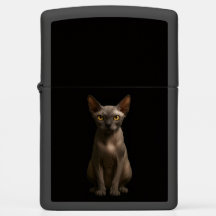 Zippo lighter with awesome Sphynx Cat