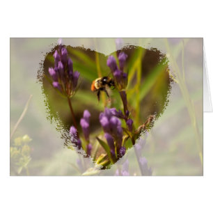 Zippy Bee ; aucun texte