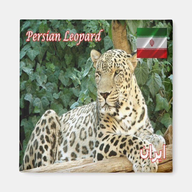 zIR006 PERSIAN LEOPARD, Iran, Asia, Fridge  Magnet (Front)