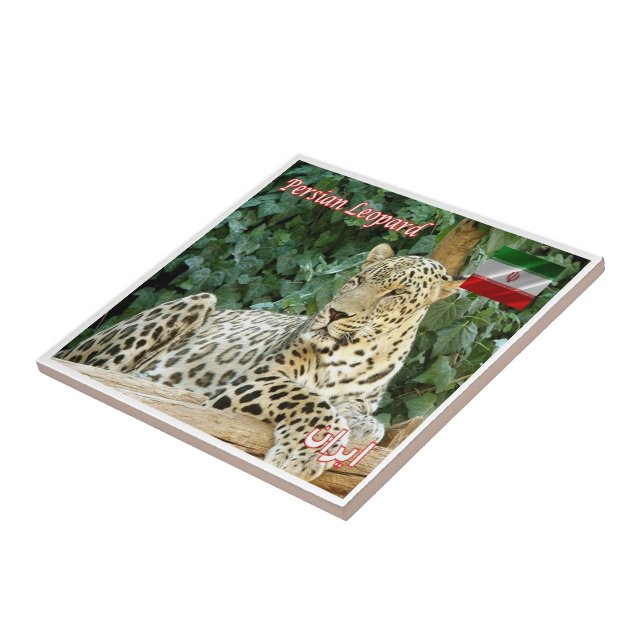 zIR006 PERSIAN LEOPARD, Iran, Asia, Tile (Side)