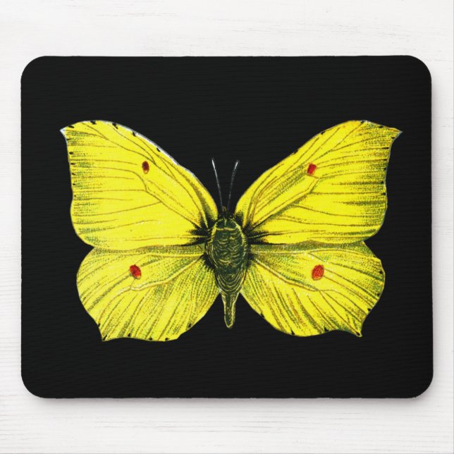 Zitronenfalter Mouse Pad (Front)