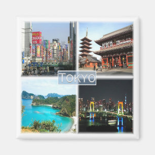 zJP005 TOKYO Japan, Asia, Fridge Magnet