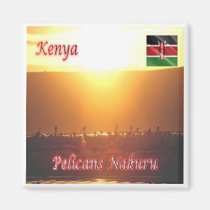 zKE020 KENYA, Pelicans Nakuru, Africa, Fridge Magnet