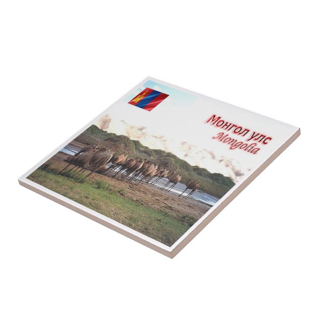 zMN008 KHONGORYN ELS CAMELS, Mongolia, Tile (Side)