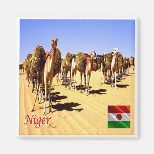 zNE007 NIGER, Oasis Bilma, Africa, Fridge Magnet