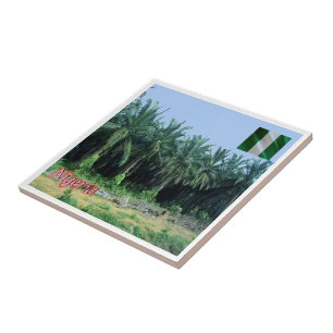 zNG009 NIGERIA, Palm Trees, Africa, Tile