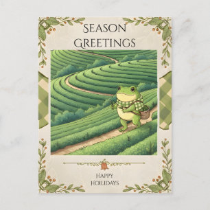 Zochi in Boseong Tea Fields Postcard