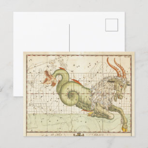 Zodiac Astrology Capricorn Vintage Art Postcard