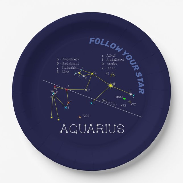 Zodiac Constellation Aquarius Paper Plate (Front)