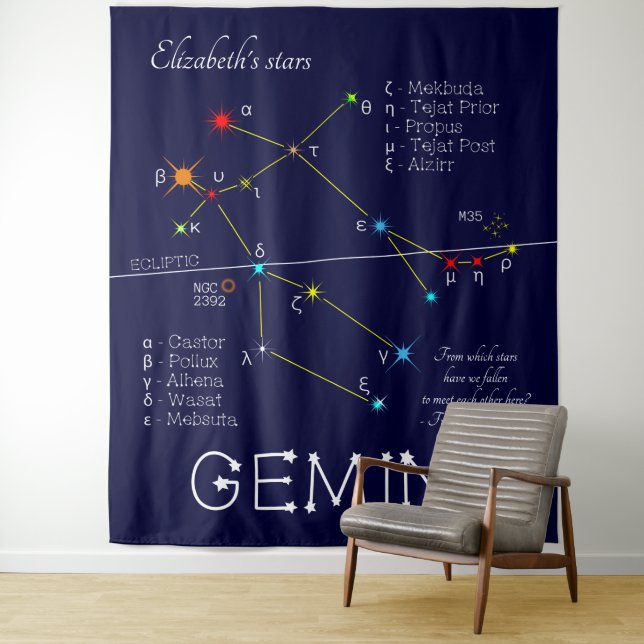 Zodiac Constellation Gemini Tapestry (In Situ)