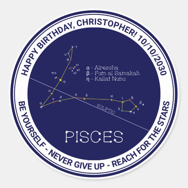Zodiac Constellation Pisces Classic Round Sticker (Front)