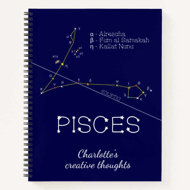 Zodiac Constellation Pisces Notebook (Front)