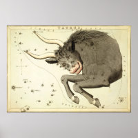 "Zodiac Sign: Taurus" poster/print