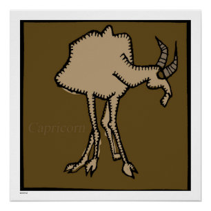 Zodiac Signes Capricorne Anniversaire Poster parfa