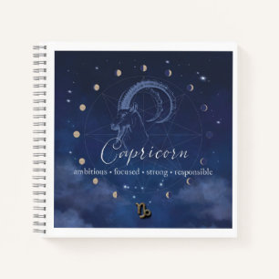 Zodiaque - Capricorne - Journal