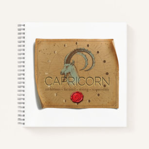 Zodiaque - Capricorne - Journal