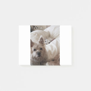 Zoe and Yoda Post-it Notes