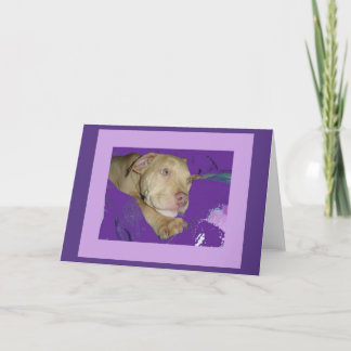 Zoe avec la carte pourpre de frontière