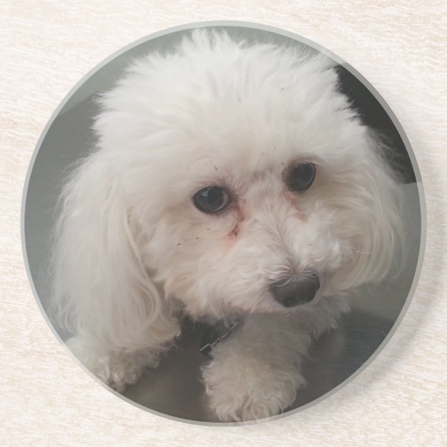 zoe coaster (Front)