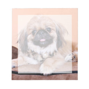 Zoe - Pekingese Notepad