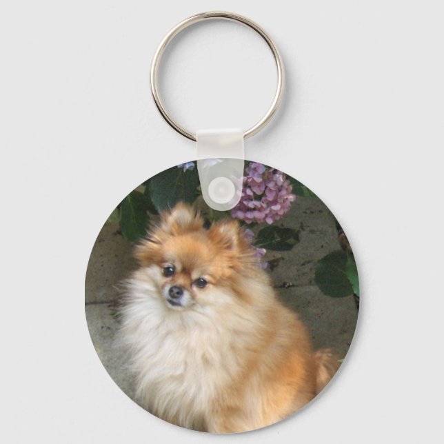 ZOE's nice day 2010 Keychain (Front)