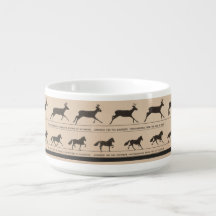 Zoetrope antique animal animation illustration 