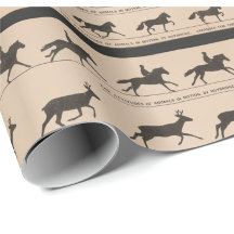 Zoetrope antique animal animation illustration