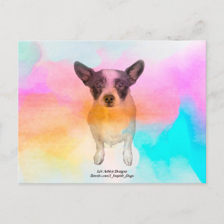 Zoey Disco Postcard