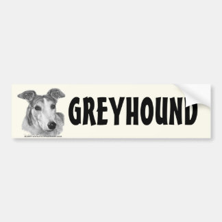 Zoie, Greyhound Bumper Sticker