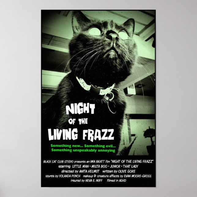 Zombie Cat Horror Movie Poster, Green, Custom size Poster (Front)