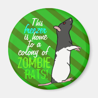 Zombie rat round magnet (black hood rat)