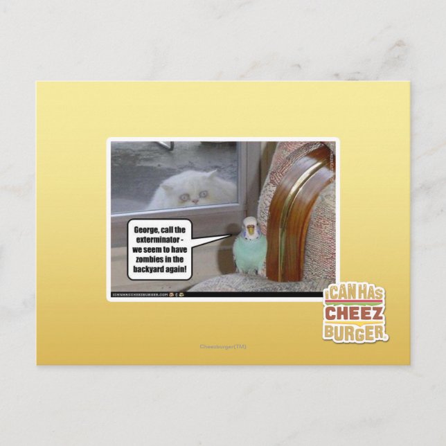 Zombies in the backyard postcard (Front)