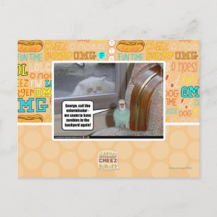 Zombies in the backyard postcard