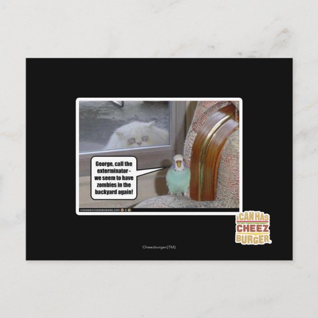 Zombies in the backyard postcard (Front)