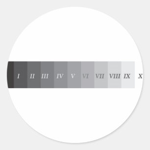 Zone System Classic Round Sticker