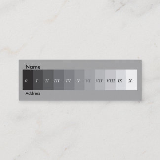 Zone System Mini Business Card