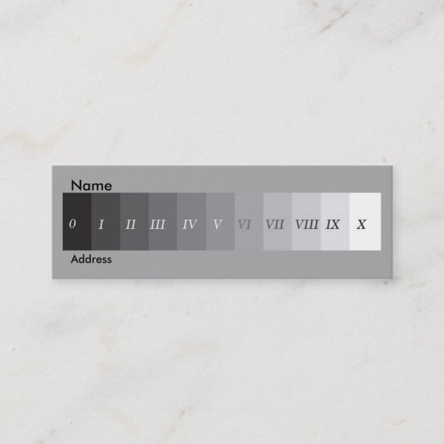 Zone System Mini Business Card (Front)