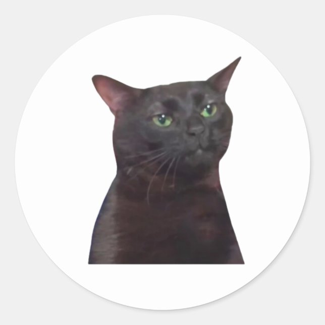 Zoned Out Cat, Black Cat Zoned Out Meme Classic Round Sticker (Front)