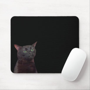 Zoned Out Cat Meme Mouse Pad